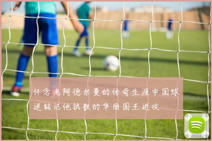 怀念老阿德尔曼的传奇生涯中国球迷铭记他执教的华丽国王进攻