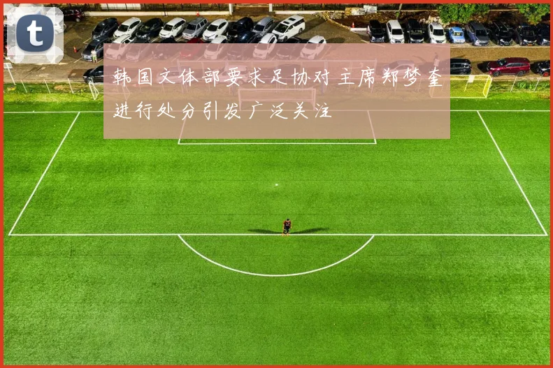 韩国文体部要求足协对主席郑梦奎进行处分引发广泛关注